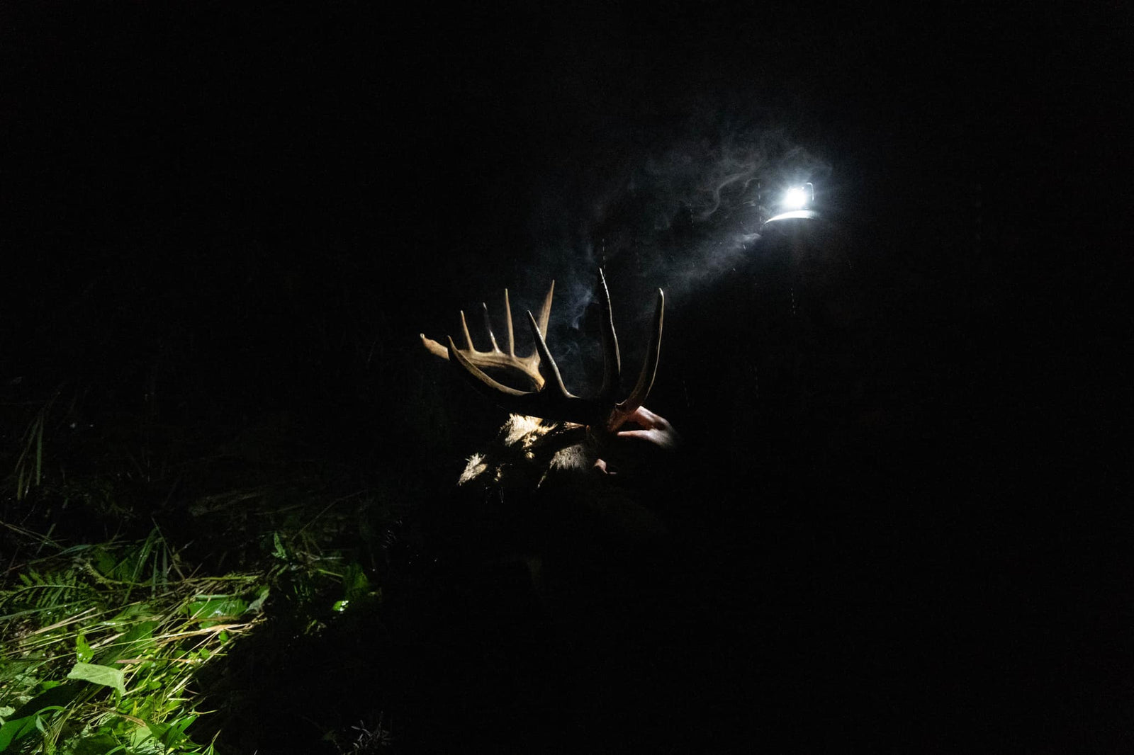 Whitetail DNA's Luke Eilefson 2022 Minnesota Buck with the RL-2 DTM Bow Sight