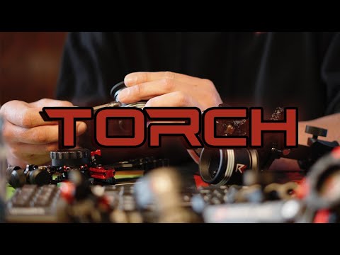 RL Torch Dovetail 2 Pin Sight